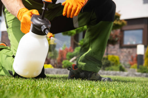 Professional Pest Control in Milford, DE