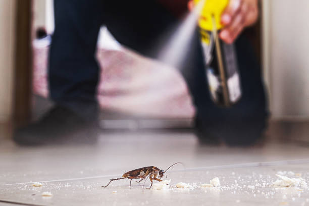 Flea Control Services in Milford, DE